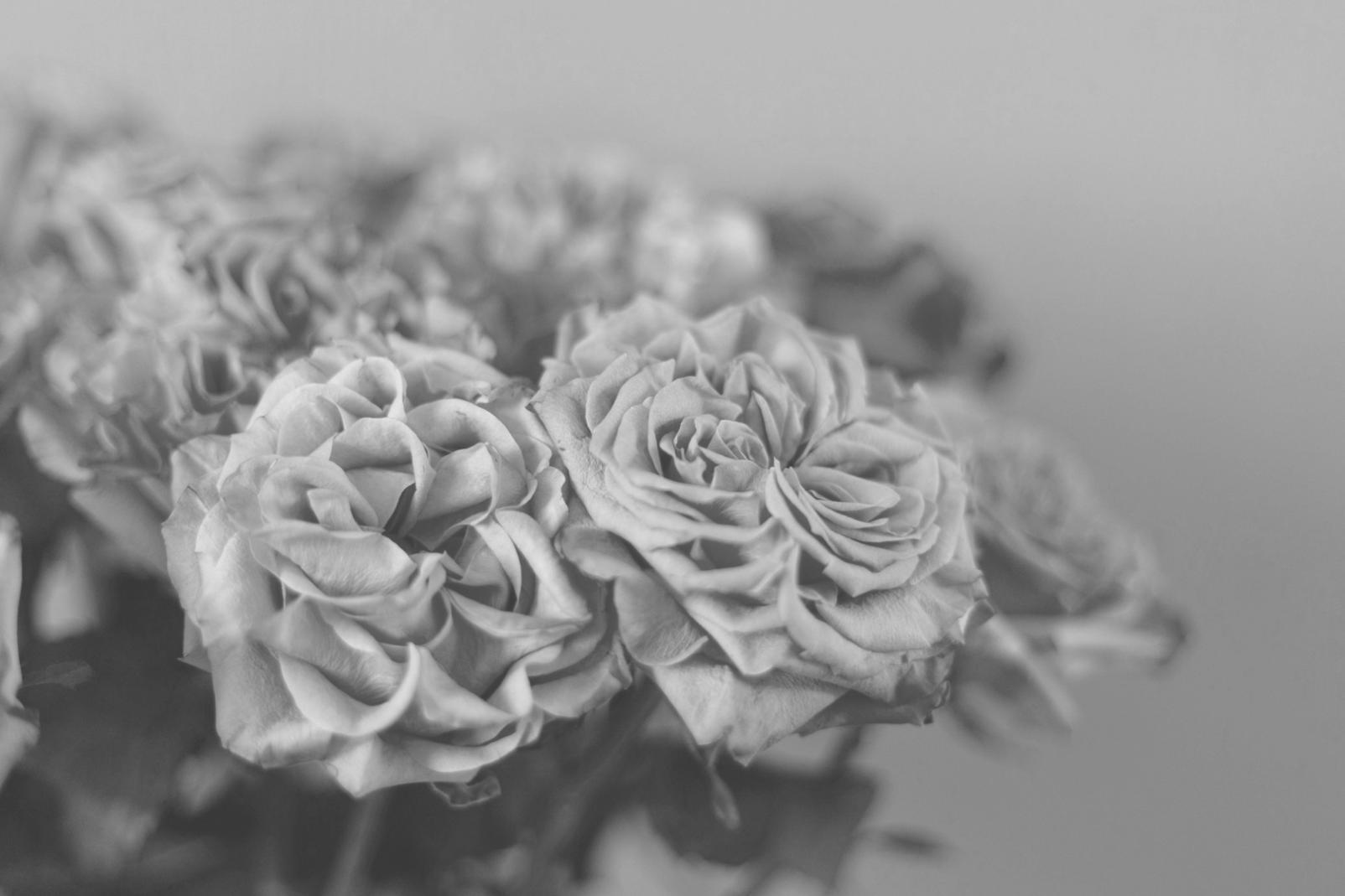 Profesyonel çiçekçilik araçları